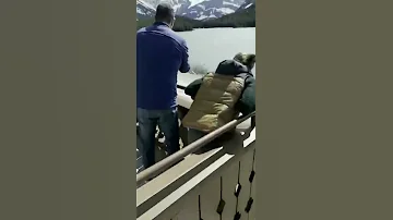 قامت أنثى حيوان الموظ بمطاردة أحد الدببة عندما حاول افتراس صغيرها تمكنت من طرده في النهاية 