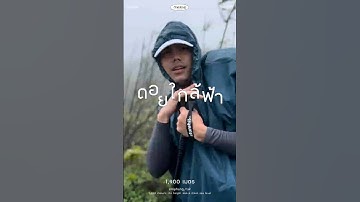เดินป่าหน้าฝน สู่ “ดอยใกล้ฟ้า” | ลุยป่าลึก อ.อุ้มผาง จ.ตาก 🌧️🌿