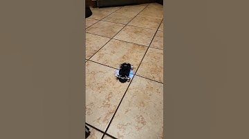 HexMod RC without tires or body