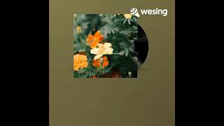 Budak Kacamatacinta Tak Perlu Dipaksa  Tiada Lirik  Cover By Arm Chiclid