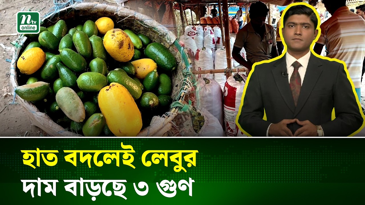 সিন্ডিকেটের জাঁতাকলে লেবু চাষী, চড়া মৌসুমেও নেই কৃষকের মুখে হাসি | Chattogram | NTV News
