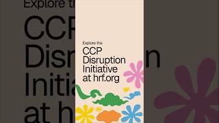Beyond Borders: CCPDI’s First In-Person Activist Retreat