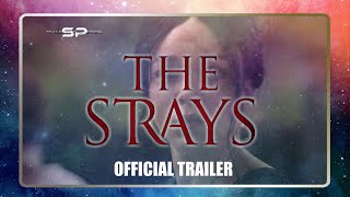 Trailer Into REaction: The Strays (2023) | Official Trailer