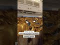Malinis Sa Labas Subrang Dumi sa Loob at Monterits Ma-a Davao city #tecnician #airconditioner