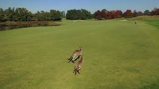 Heritage Golf and Country Club