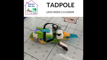 FROG METAMORPHOSIS - Vòng đời loài ếch - LEGO Wedo 2.0