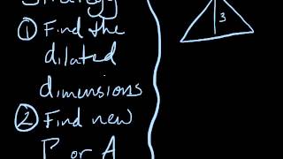 86a tutor dilation area or perimeter