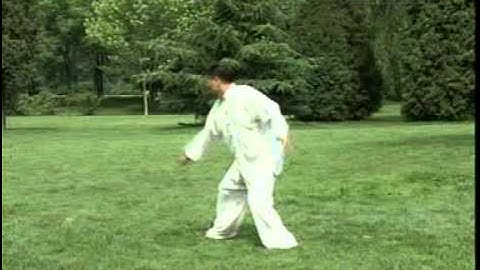 Liang-style Eight Diagrams Palm Boxing-64 straight palms