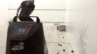 Squash Dealer Camp