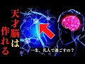 【内緒】天才の脳では〇〇が機能している!ギフテッドに生まれ変わる方法