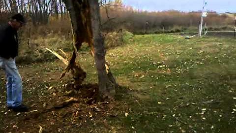 Tannerite tree removal part 3