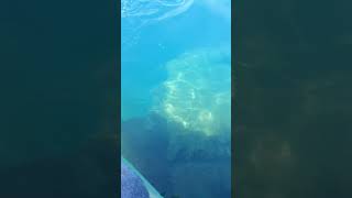 En Kayak por el Lago Epuyen Chubut Patagonia Argentina Enero 2018
