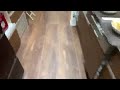 猫と犬とうさぎとインコの新年ニャントモライブ!