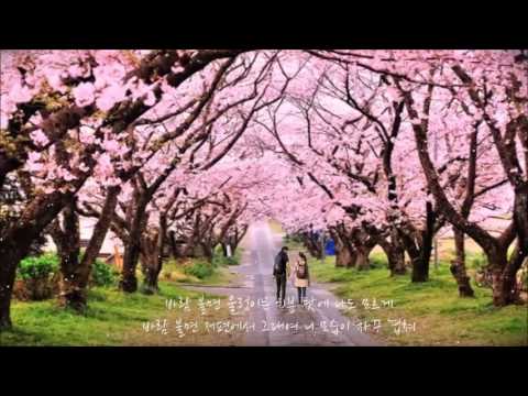 장범준(버스커버스커) 벚꽃엔딩 K POP KPOP, 韓國歌謠 [HD]