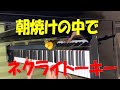 【ピアノ譜有】朝焼けの中で イメージで弾いた【ネクライトーキー】