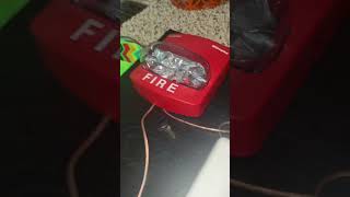 Simplex TrueAlert Strobe Only Testing