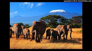 Caiiro - Ancestors (Full Version)