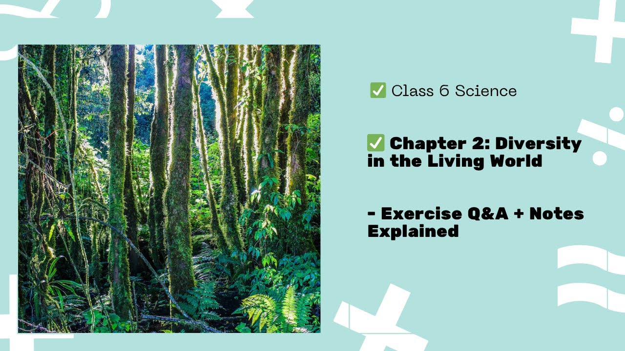 Diversity in the Living World – Class 6 Science Chapter 2 | NCERT ...