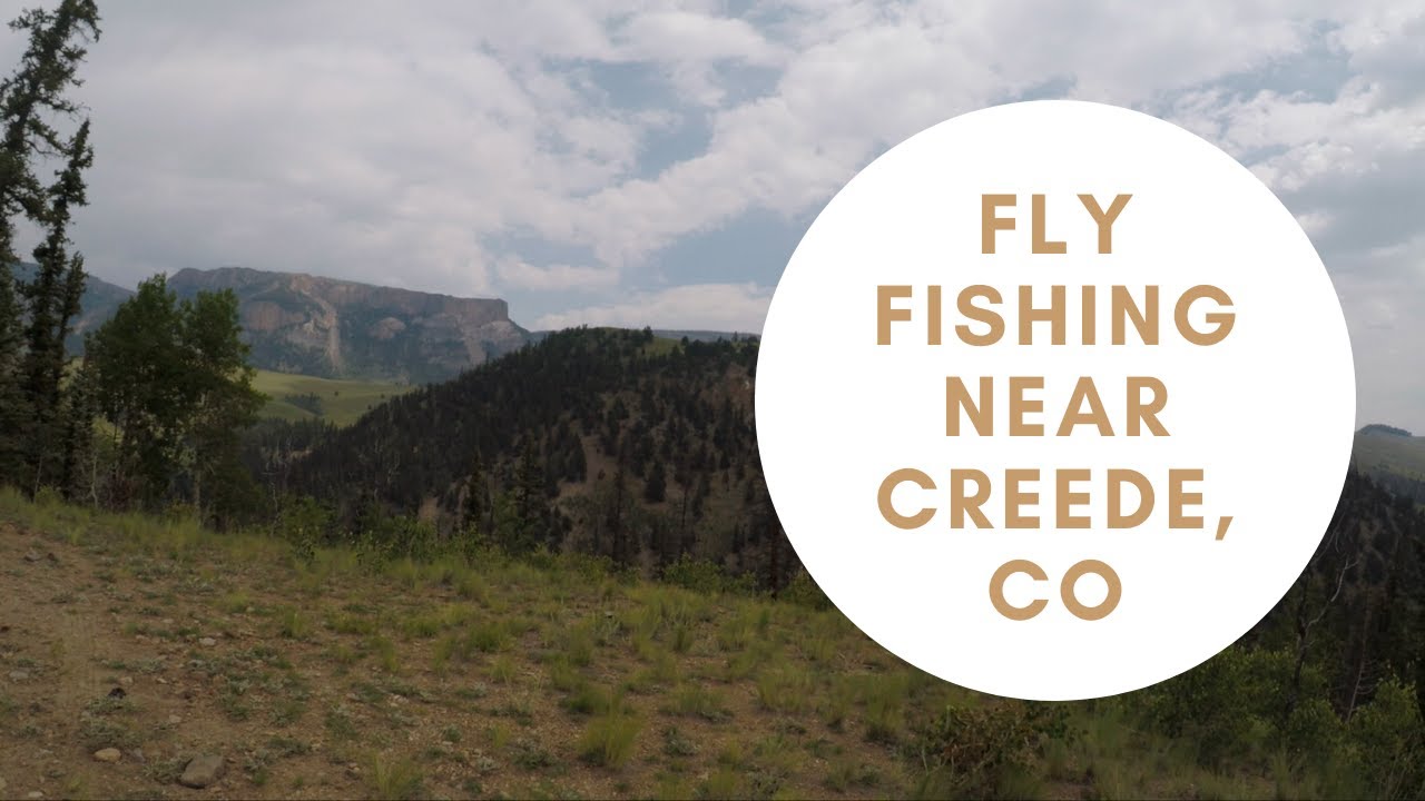 Small Stream with Some Bigger than Expected Fish Fly Fishing near