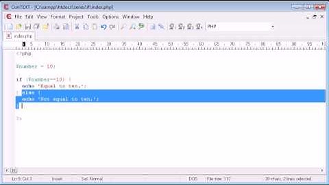 Beginner PHP Tutorial - 19 - if / else if Statement