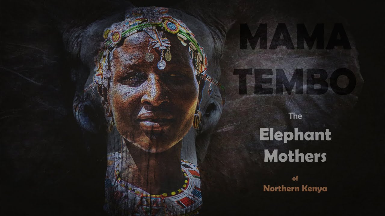 Mpayon and the Elephant Mothers of Northern Kenya