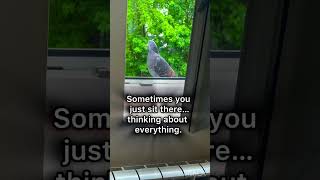 #shorts #alone #thoughts #calm #mentalhealth #quiet #fyp