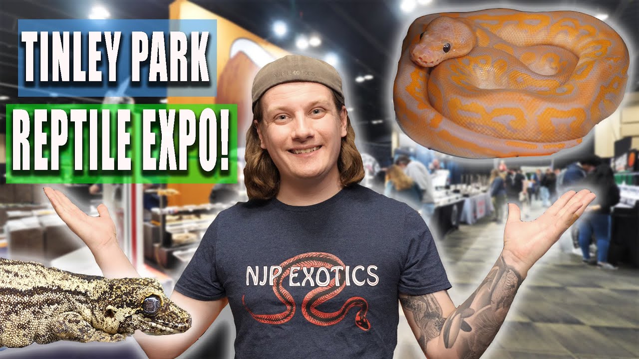 Tinley Park Reptile Expo March 2023 YouTube