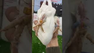 Fransa’ya Değerli Aydın Bucak Ağabeyimize Hayırlı Olsun