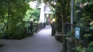 REI Flagship entrance