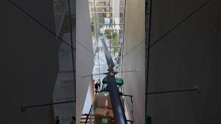 Moma Museum Of Modern Art
