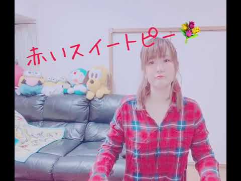 赤いスイートピー ／ 松田聖子カバー