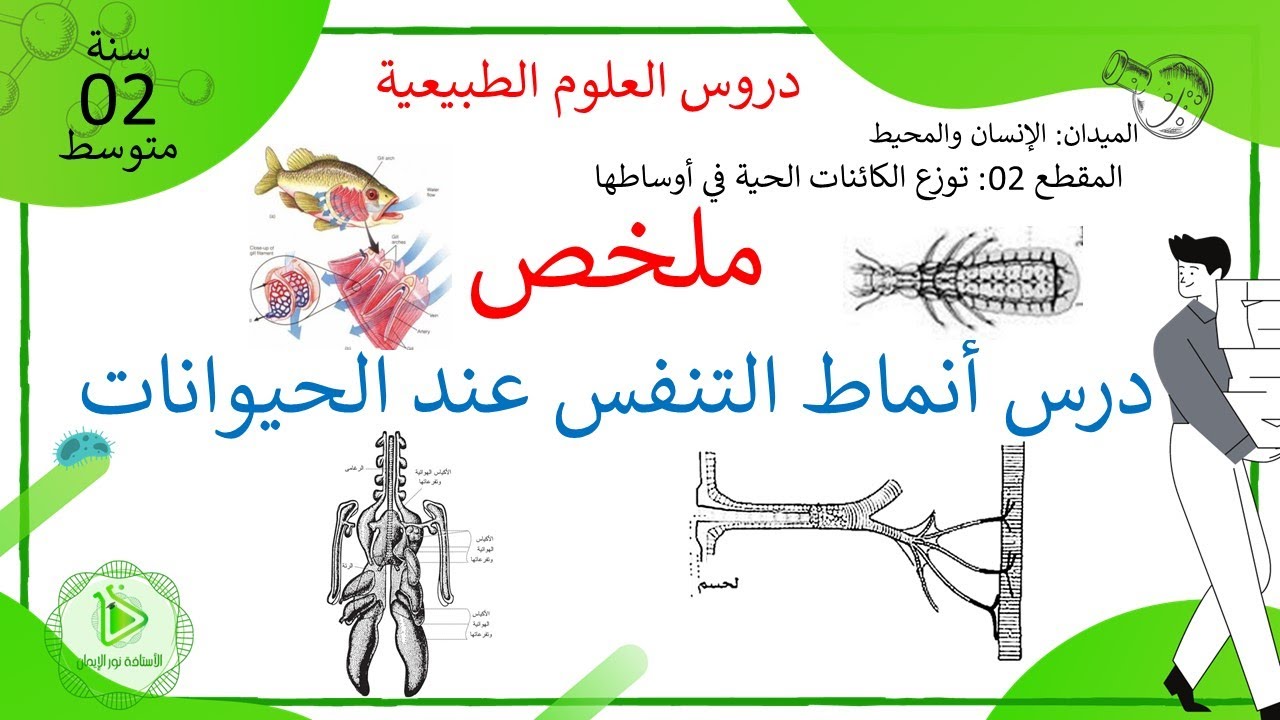 ملخص درس أنماط التنفس عند الحيوانات في مختلف الأوساط علوم طبيعية سنة 02 متوسط