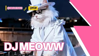 😻🎧DJ MEOWW🎧😻 THE BEAT NEVER STOPS ⚡🎶💃REMIX MUSIC 2025 😺😺 EDM 🐾🎵