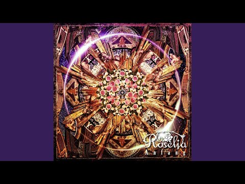 Re:birth day - YouTube