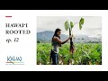 Seeds of Perseverance: Hawaii Rooted