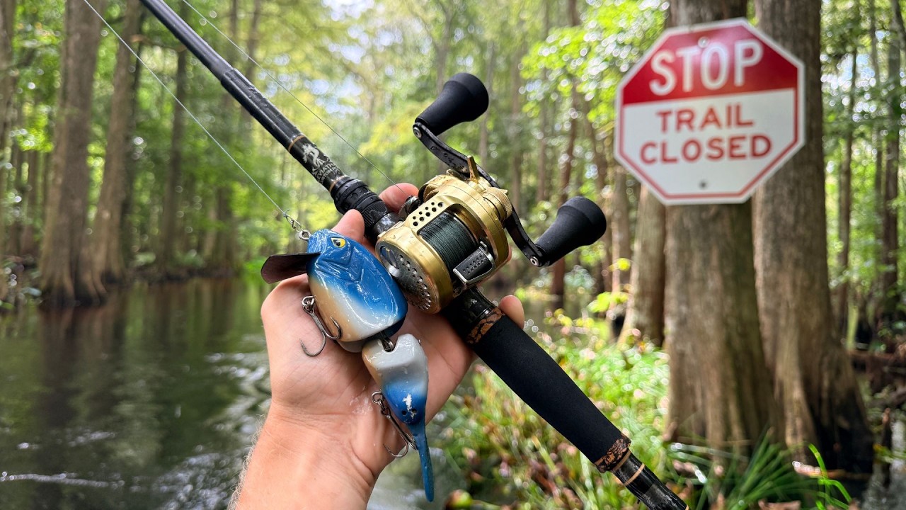 No One Has Fished This Secret Florida Creek In YEARS!