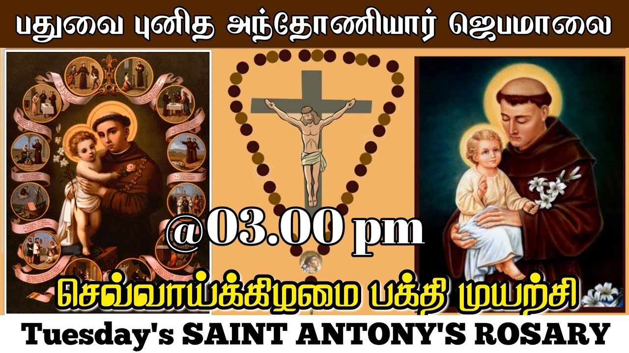 புனித அந்தோனியார் ஜெபமாலை / St. Antony's Rosary in Tamil / Tuesday's Blessing