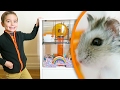 Hamster room tour  la nouvelle maison de nuts 