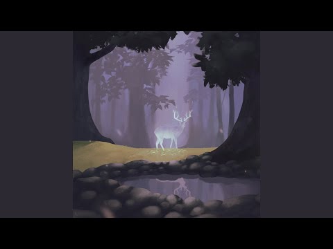 after noon & Lomme - Solitude