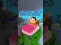 【チート疑惑】もはや世界のルールを根本から書き換えて人間を卒業したレベル上げ勝負ｗｗ💎💨