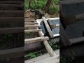 Сон пошёл, а Ночка пьёт)) #кот #лесной #nature #cat