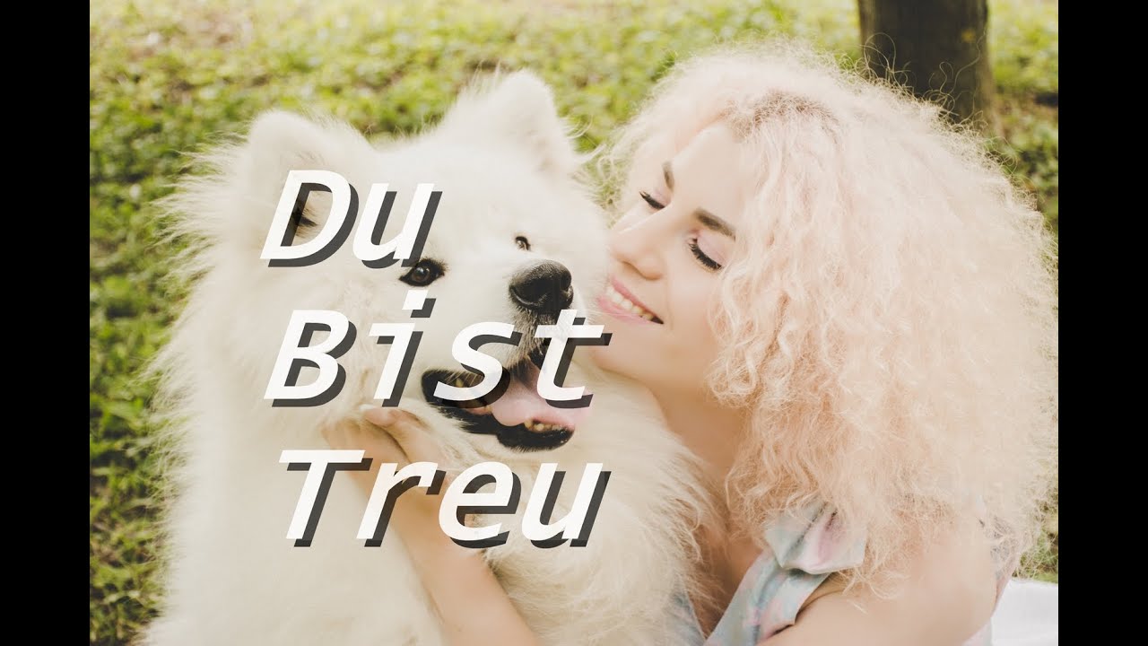 Du Bist Treu (Faithful One) - Karaoke Flöte Instrumental Brian Doerksen ...