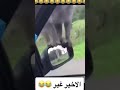 حتى القرود تغيرت
