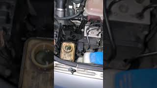 B5 S4 Power steering noise/air in system