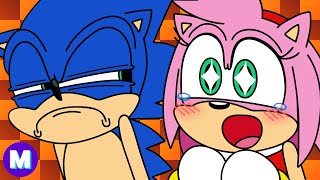 Sonic and Amy Photo: Sonic has something to say to amy