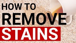 How To Remove Different Types Of Stains | Big Wide Guide