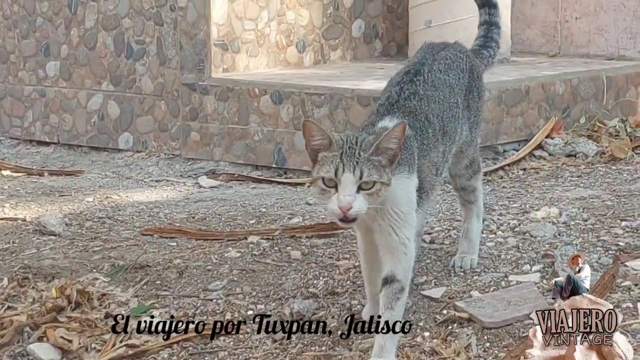  CEMENTERIO DE TUXPAN JALISCO... SILENCIO Y MISTERIO #cementerios 