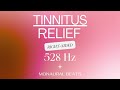 Reduce Your Tinnitus Perception | RIGHT-SIDED 528 Hz Monaural Beats #soundtheraphy