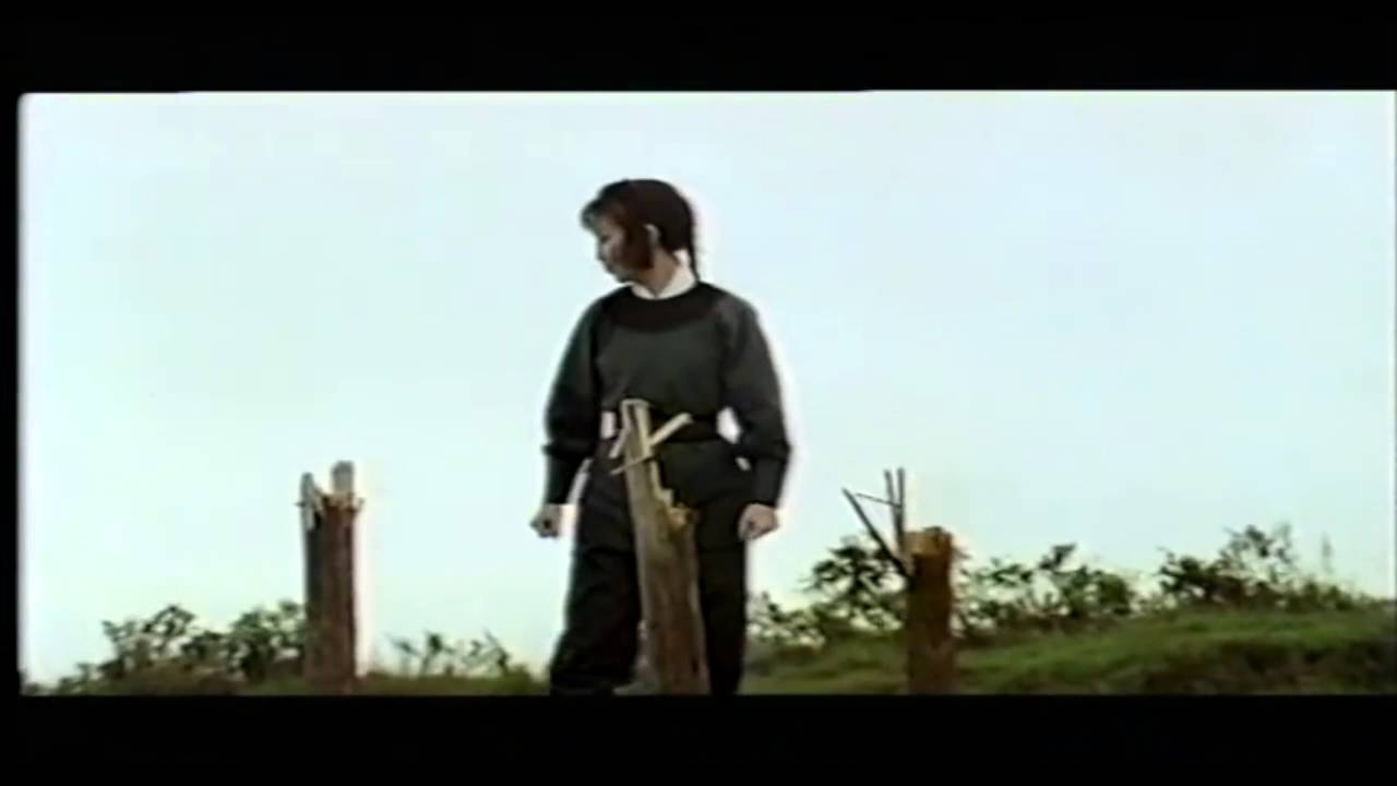 Wing Chun Kung Fu History Film by Cecelia Wong