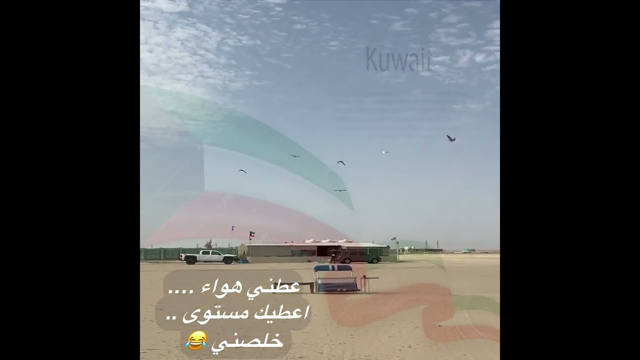 عطني هواء اعطيك مستوى … العيد الوطني 2026 #الكويت #لوت #السعودية #birds #العراق 